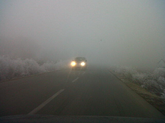 IMG01593-20131223-1524