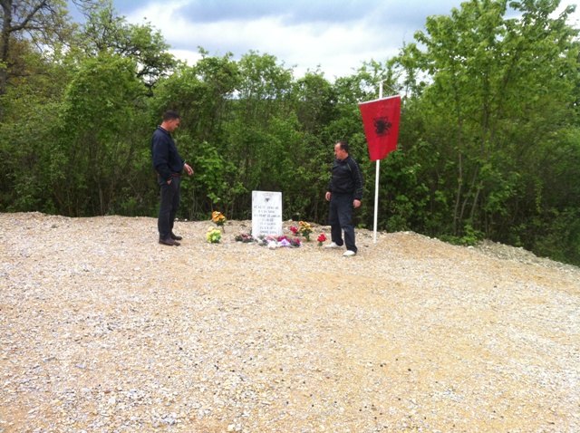 Picture 008