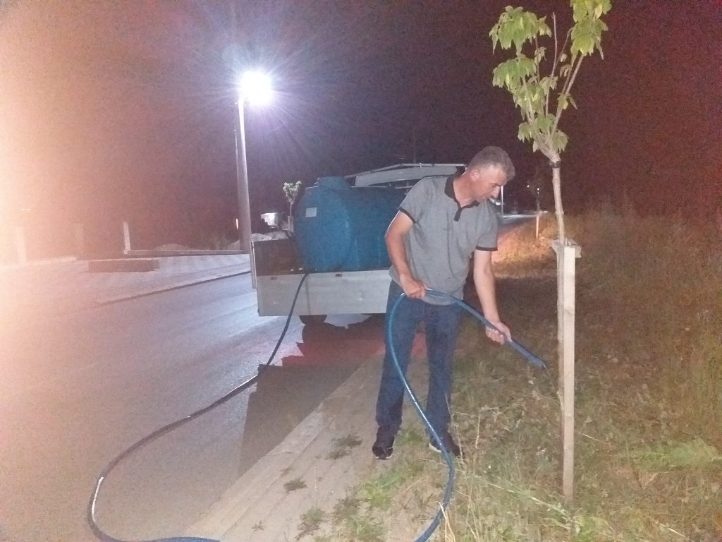 Foto lajm: Drunjtë e rrugës kryesore të Smirës kanë nevojë për ujë